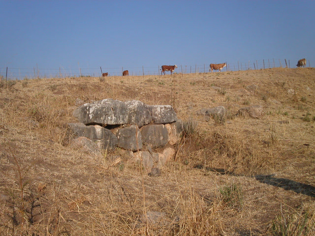 Hazor 2025 Excavation Fees