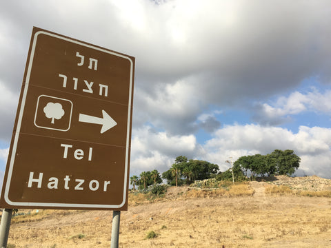 Hazor 2023 Excavation Fees